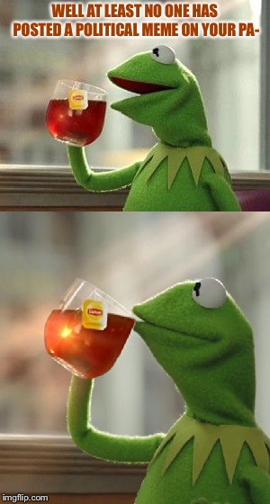 oh wait, that's none of my business | WELL AT LEAST NO ONE HAS POSTED A POLITICAL MEME ON YOUR PA- | image tagged in oh wait that's none of my business | made w/ Imgflip meme maker