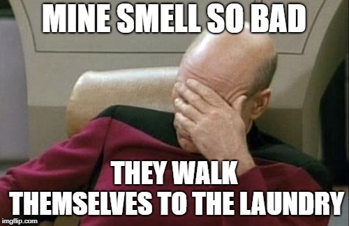 Captain Picard Facepalm Meme | MINE SMELL SO BAD THEY WALK THEMSELVES TO THE LAUNDRY | image tagged in memes,captain picard facepalm | made w/ Imgflip meme maker