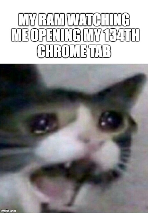 Chrome is killing RAM, pray for RAM. | MY RAM WATCHING ME OPENING MY 134TH; CHROME TAB | image tagged in crying cat,memory,google chrome,garbage,windows 10,pc | made w/ Imgflip meme maker
