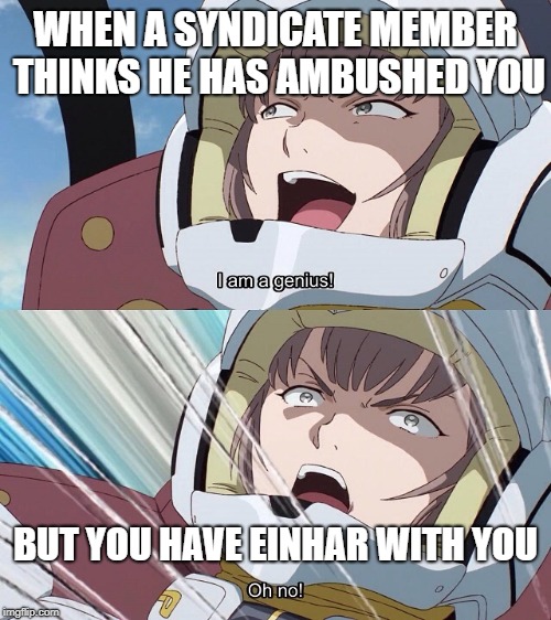 Gundam I'm a genius | WHEN A SYNDICATE MEMBER THINKS HE HAS AMBUSHED YOU; BUT YOU HAVE EINHAR WITH YOU | image tagged in gundam i'm a genius | made w/ Imgflip meme maker