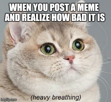 Quality memes here on my page? Nope | WHEN YOU POST A MEME AND REALIZE HOW BAD IT IS; SORRY BENTOUASHAPE | image tagged in memes,heavy breathing cat | made w/ Imgflip meme maker