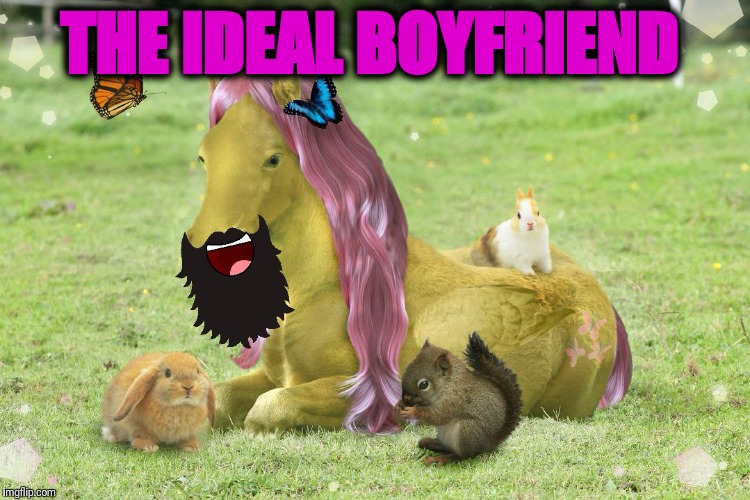 THE IDEAL BOYFRIEND | image tagged in bearded horse | made w/ Imgflip meme maker