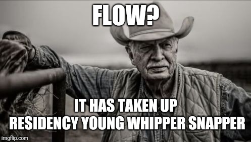 So God Made A Farmer Meme | FLOW? IT HAS TAKEN UP RESIDENCY YOUNG WHIPPER SNAPPER | image tagged in memes,so god made a farmer | made w/ Imgflip meme maker