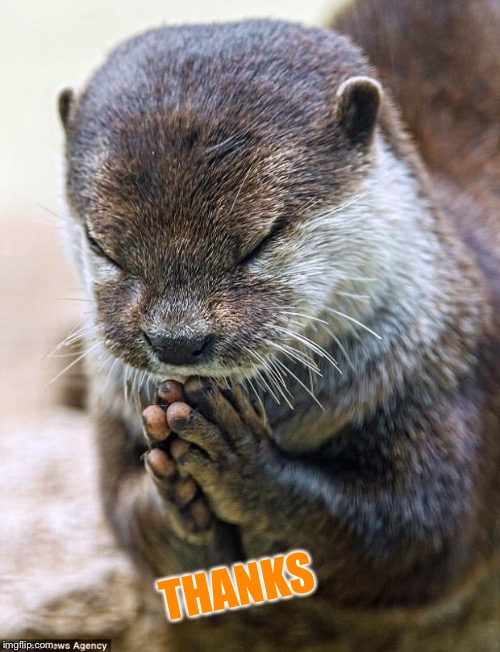 Thank you Lord Otter | THANKS | image tagged in thank you lord otter | made w/ Imgflip meme maker