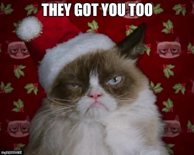 Grumpy Cat Christmas | THEY GOT YOU TOO | image tagged in grumpy cat christmas | made w/ Imgflip meme maker