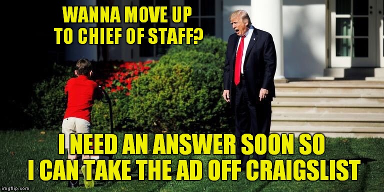 My Rod May Comfort Me, My Staff Not So Much.. | WANNA MOVE UP TO CHIEF OF STAFF? I NEED AN ANSWER SOON SO I CAN TAKE THE AD OFF CRAIGSLIST | image tagged in donald trump | made w/ Imgflip meme maker