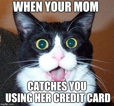 Surprised cat lol | WHEN YOUR MOM; CATCHES YOU USING HER CREDIT CARD | image tagged in surprised cat lol | made w/ Imgflip meme maker