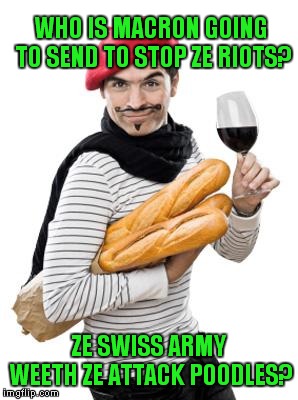 French Kiss My Greetz! | WHO IS MACRON GOING TO SEND TO STOP ZE RIOTS? ZE SWISS ARMY WEETH ZE ATTACK POODLES? | image tagged in scumbag french | made w/ Imgflip meme maker