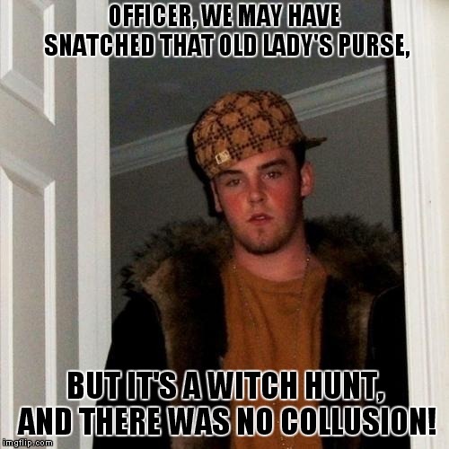 She Had Confusion, And A Contusion, But There Was No Collusion | OFFICER, WE MAY HAVE SNATCHED THAT OLD LADY'S PURSE, BUT IT'S A WITCH HUNT, AND THERE WAS NO COLLUSION! | image tagged in memes,scumbag steve,witch hunt | made w/ Imgflip meme maker