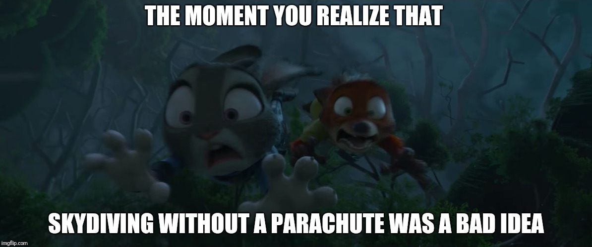 The Moment You Realize - Zootopia edition | THE MOMENT YOU REALIZE THAT; SKYDIVING WITHOUT A PARACHUTE WAS A BAD IDEA | image tagged in nick wilde and judy hopps scream,zootopia,judy hopps,nick wilde,screaming,the moment you realize | made w/ Imgflip meme maker