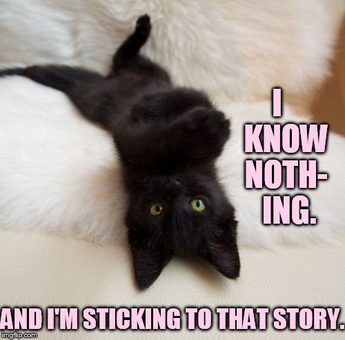 I   KNOW NOTH-  ING. AND I'M STICKING TO THAT STORY. | made w/ Imgflip meme maker