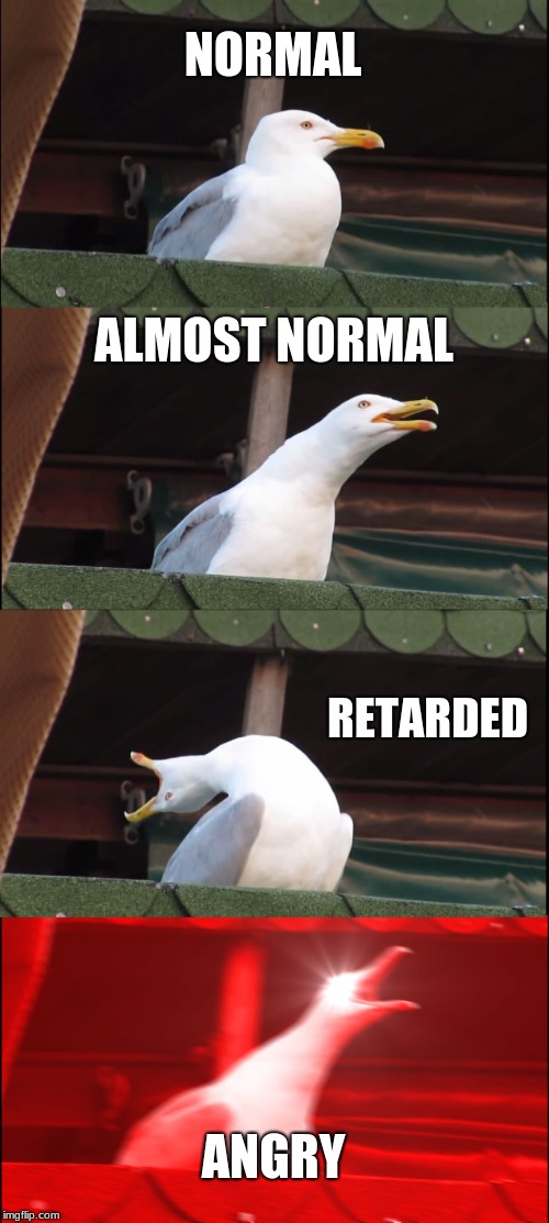 Inhaling Seagull | NORMAL; ALMOST NORMAL; RETARDED; ANGRY | image tagged in memes,inhaling seagull | made w/ Imgflip meme maker