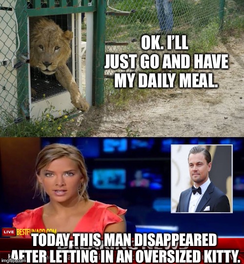 Oh hi kitty! | OK. I’LL JUST GO AND HAVE MY DAILY MEAL. TODAY THIS MAN DISAPPEARED AFTER LETTING IN AN OVERSIZED KITTY. | image tagged in funny,lion,cats | made w/ Imgflip meme maker