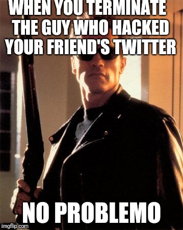 Terminator 2 | WHEN YOU TERMINATE
 THE GUY WHO HACKED YOUR FRIEND'S TWITTER; NO PROBLEMO | image tagged in terminator 2 | made w/ Imgflip meme maker