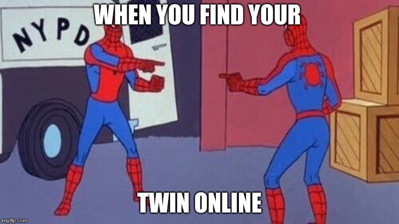 spiderman pointing at spiderman | WHEN YOU FIND YOUR; TWIN ONLINE | image tagged in spiderman pointing at spiderman | made w/ Imgflip meme maker