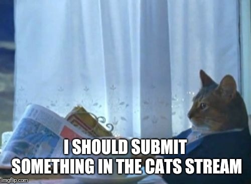 I Should Buy A Boat Cat | I SHOULD SUBMIT SOMETHING IN THE CATS STREAM | image tagged in memes,i should buy a boat cat | made w/ Imgflip meme maker