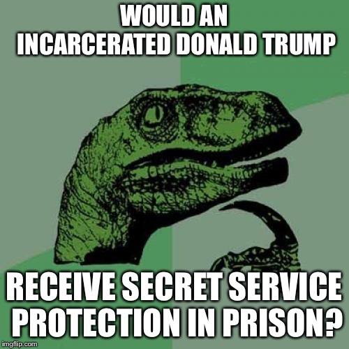 Philosoraptor Meme | WOULD AN INCARCERATED DONALD TRUMP; RECEIVE SECRET SERVICE PROTECTION IN PRISON? | image tagged in memes,philosoraptor,AdviceAnimals | made w/ Imgflip meme maker