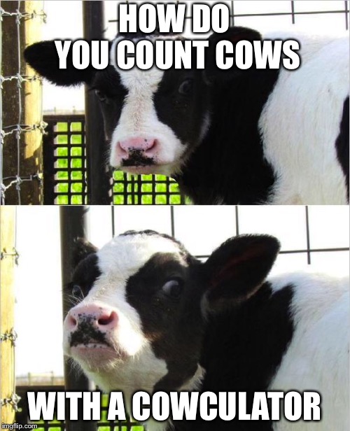 cows | HOW DO YOU COUNT COWS; WITH A COWCULATOR | image tagged in cows | made w/ Imgflip meme maker