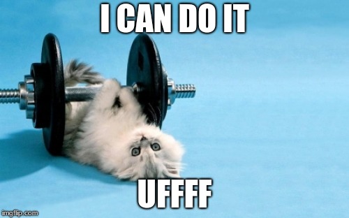 cat fitness | I CAN DO IT; UFFFF | image tagged in cat fitness | made w/ Imgflip meme maker