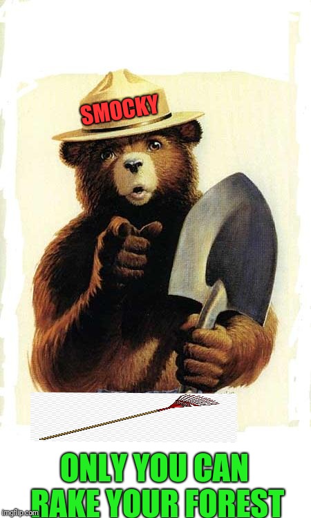 Smokey The Bear | SMOCKY; ONLY YOU CAN RAKE YOUR FOREST | image tagged in smokey the bear | made w/ Imgflip meme maker