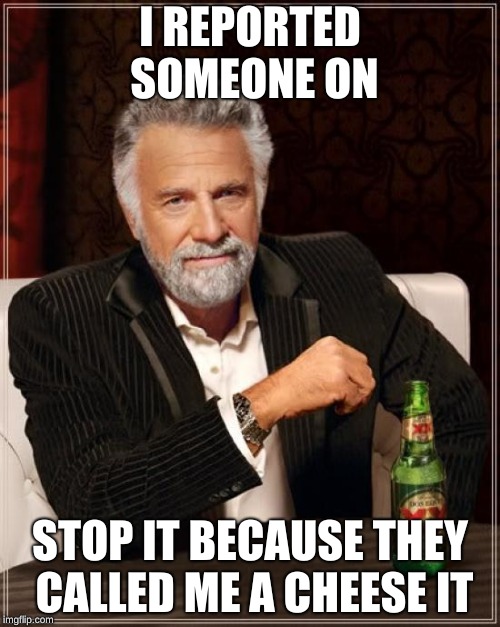 The Most Interesting Man In The World Meme | I REPORTED SOMEONE ON; STOP IT BECAUSE THEY CALLED ME A CHEESE IT | image tagged in memes,the most interesting man in the world | made w/ Imgflip meme maker