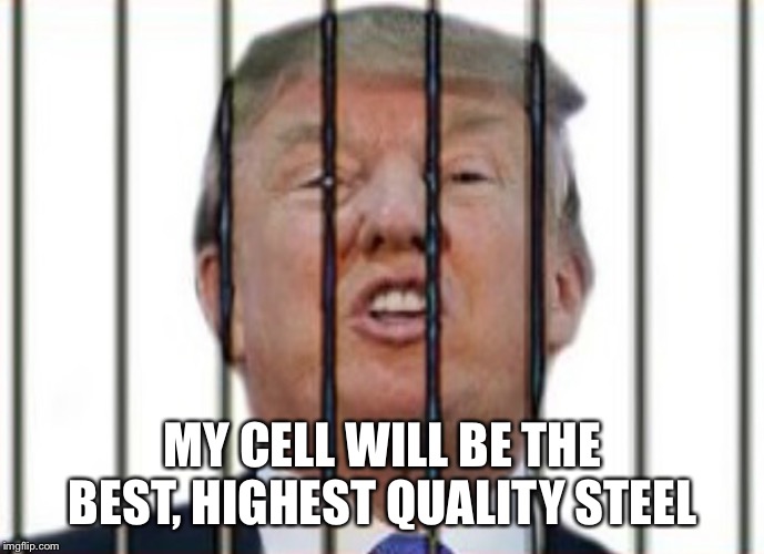 Donald Trump For Prison | MY CELL WILL BE THE BEST, HIGHEST QUALITY STEEL | image tagged in donald trump for prison | made w/ Imgflip meme maker