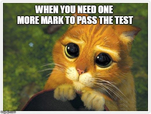 Shrek Cat Meme | WHEN YOU NEED ONE MORE MARK TO PASS THE TEST | image tagged in memes,shrek cat | made w/ Imgflip meme maker