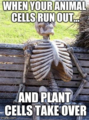 Lol #science | WHEN YOUR ANIMAL CELLS RUN OUT... AND PLANT CELLS TAKE OVER | image tagged in memes,waiting skeleton,science | made w/ Imgflip meme maker