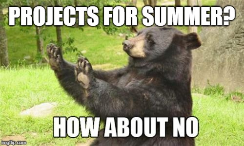 How About No Bear Meme | PROJECTS FOR SUMMER? | image tagged in memes,how about no bear | made w/ Imgflip meme maker