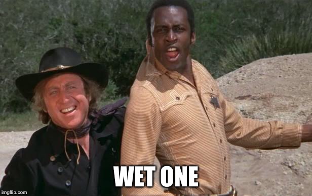 Blazing Saddles | WET ONE | image tagged in blazing saddles | made w/ Imgflip meme maker