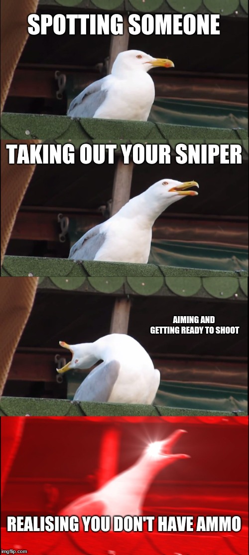 Inhaling Seagull | SPOTTING SOMEONE; TAKING OUT YOUR SNIPER; AIMING AND GETTING READY TO SHOOT; REALISING YOU DON'T HAVE AMMO | image tagged in memes,inhaling seagull | made w/ Imgflip meme maker