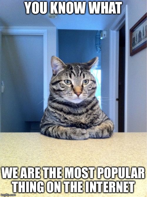 Take A Seat Cat | YOU KNOW WHAT; WE ARE THE MOST POPULAR THING ON THE INTERNET | image tagged in memes,take a seat cat | made w/ Imgflip meme maker