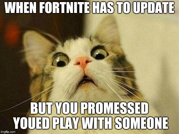 Scared Cat | WHEN FORTNITE HAS TO UPDATE; BUT YOU PROMESSED YOUED PLAY WITH SOMEONE | image tagged in memes,scared cat | made w/ Imgflip meme maker