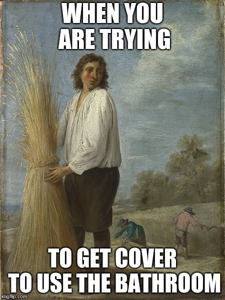 WHEN YOU ARE TRYING; TO GET COVER TO USE THE BATHROOM | image tagged in too funny | made w/ Imgflip meme maker