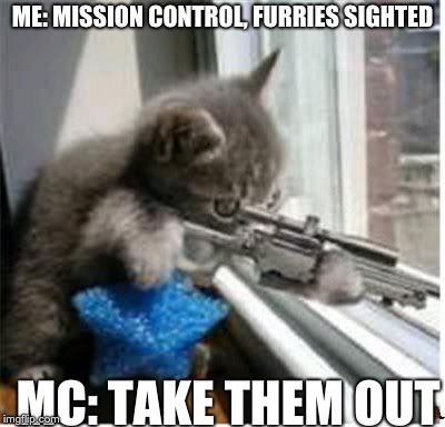 cats with guns | ME: MISSION CONTROL, FURRIES SIGHTED MC: TAKE THEM OUT | image tagged in cats with guns,scumbag | made w/ Imgflip meme maker