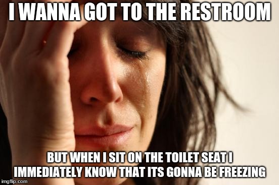 First World Problems Meme | I WANNA GOT TO THE RESTROOM; BUT WHEN I SIT ON THE TOILET SEAT I IMMEDIATELY KNOW THAT ITS GONNA BE FREEZING | image tagged in memes,first world problems | made w/ Imgflip meme maker
