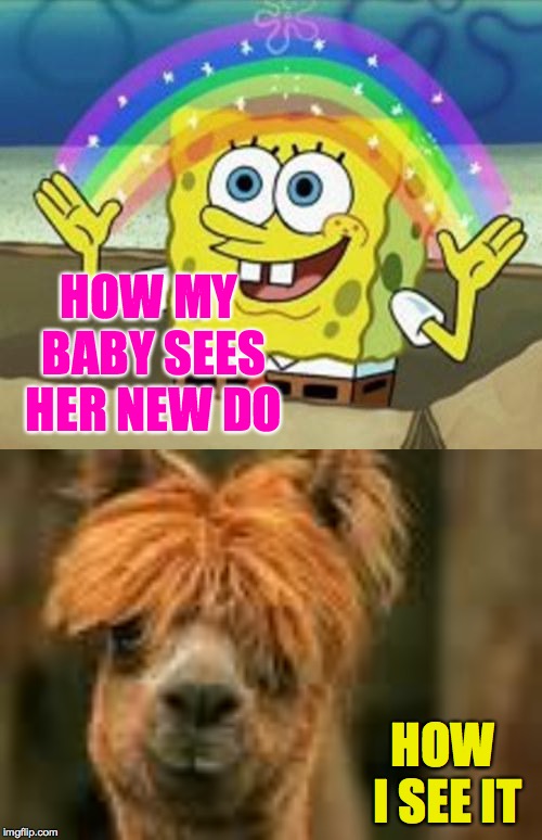 There should be a box we can check that says "Not Safe For Home" ( : | HOW MY BABY SEES HER NEW DO; HOW I SEE IT | image tagged in sponge bob,bad hair day 3,memes,marriage | made w/ Imgflip meme maker