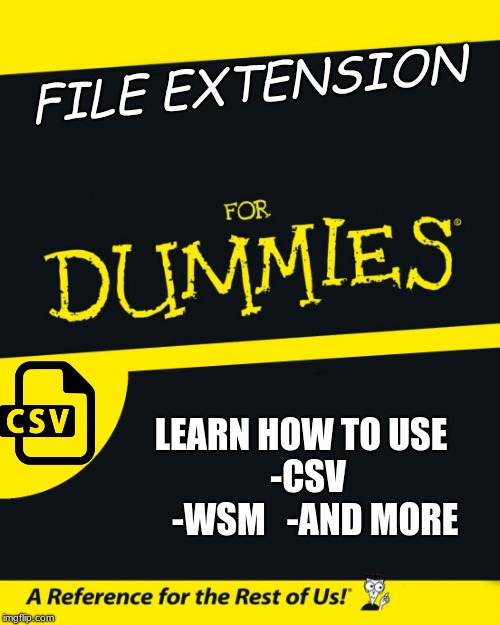 For Dummies | FILE EXTENSION; LEARN HOW TO USE          -CSV            -WSM   -AND MORE | image tagged in for dummies | made w/ Imgflip meme maker