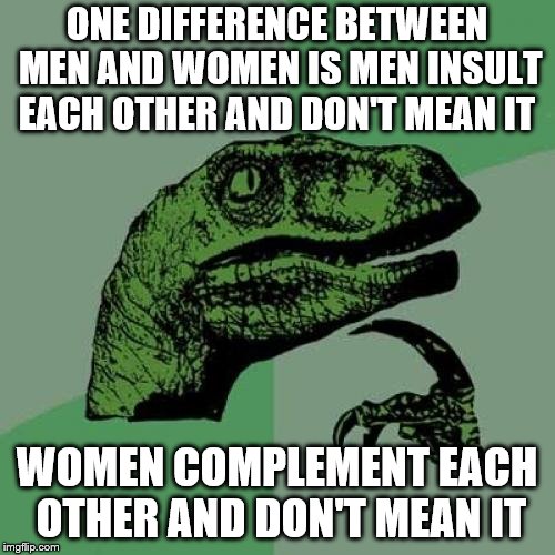 Philosoraptor Meme | ONE DIFFERENCE BETWEEN MEN AND WOMEN IS MEN INSULT EACH OTHER AND DON'T MEAN IT; WOMEN COMPLEMENT EACH OTHER AND DON'T MEAN IT | image tagged in memes,philosoraptor | made w/ Imgflip meme maker
