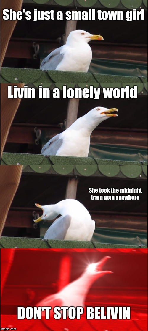 Inhaling Seagull | She's just a small town girl; Livin in a lonely world; She took the midnight train goin anywhere; DON'T STOP BELIVIN | image tagged in memes,inhaling seagull | made w/ Imgflip meme maker