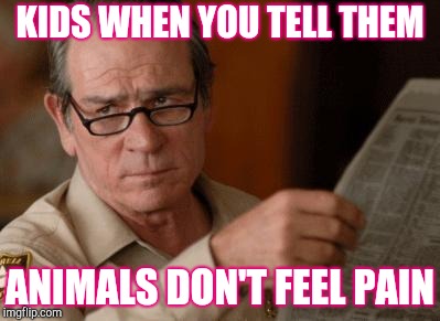 Tommy Lee Jones | KIDS WHEN YOU TELL THEM; ANIMALS DON'T FEEL PAIN | image tagged in tommy lee jones | made w/ Imgflip meme maker