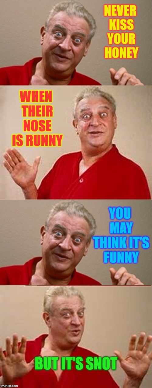 Don't Get All Boogered Up | NEVER KISS YOUR HONEY; WHEN THEIR NOSE IS RUNNY; YOU MAY THINK IT'S FUNNY; BUT IT'S SNOT | image tagged in bad pun rodney dangerfield,memes,booger,snot,one does not simply,what if i told you | made w/ Imgflip meme maker