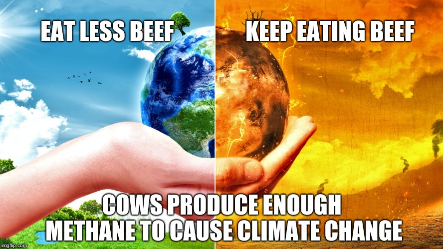 Climate Change | EAT LESS BEEF; KEEP EATING BEEF; COWS PRODUCE ENOUGH METHANE TO CAUSE CLIMATE CHANGE | image tagged in climate change | made w/ Imgflip meme maker