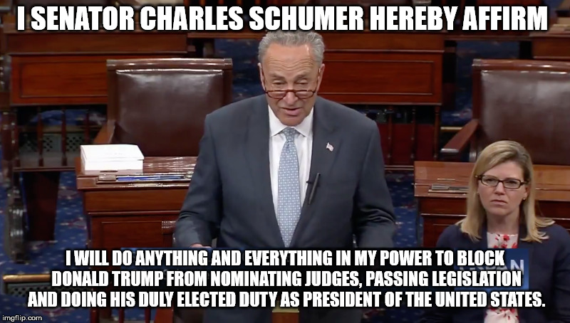 Chuck Schumer Affirms | I SENATOR CHARLES SCHUMER HEREBY AFFIRM; I WILL DO ANYTHING AND EVERYTHING IN MY POWER TO BLOCK DONALD TRUMP FROM NOMINATING JUDGES, PASSING LEGISLATION AND DOING HIS DULY ELECTED DUTY AS PRESIDENT OF THE UNITED STATES. | image tagged in politics,political meme,chuck schumer,senate,trump haters | made w/ Imgflip meme maker
