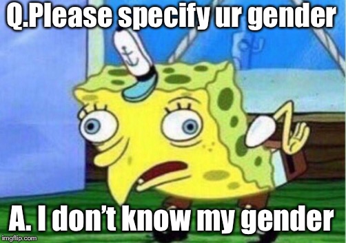 Mocking Spongebob Meme | Q.Please specify ur gender; A. I don’t know my gender | image tagged in memes,mocking spongebob | made w/ Imgflip meme maker