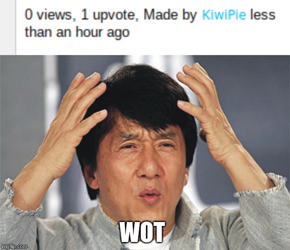ghost upvote?? | WOT | image tagged in jackie chan confused,memes,funny,wtf,jackie chan wtf | made w/ Imgflip meme maker