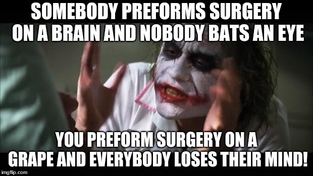 And everybody loses their minds | SOMEBODY PREFORMS SURGERY ON A BRAIN AND NOBODY BATS AN EYE; YOU PREFORM SURGERY ON A GRAPE AND EVERYBODY LOSES THEIR MIND! | image tagged in memes,and everybody loses their minds | made w/ Imgflip meme maker