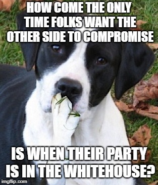 Dog Hmmmm | HOW COME THE ONLY TIME FOLKS WANT THE OTHER SIDE TO COMPROMISE IS WHEN THEIR PARTY IS IN THE WHITEHOUSE? | image tagged in dog hmmmm | made w/ Imgflip meme maker