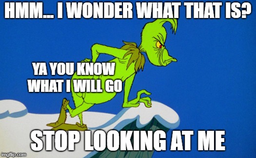 Grinch  | HMM... I WONDER WHAT THAT IS? YA YOU KNOW WHAT I WILL GO; STOP LOOKING AT ME | image tagged in grinch | made w/ Imgflip meme maker