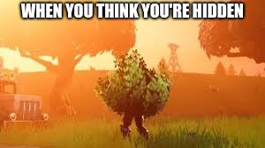 WHEN YOU THINK YOU'RE HIDDEN | image tagged in hidden | made w/ Imgflip meme maker
